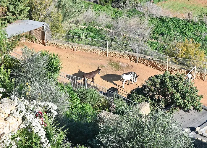 Seaview Pool And Modern Gozo - Happy Appartamento Xagħra